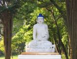hudson-valley-buddhism-and-the-earth.JPG