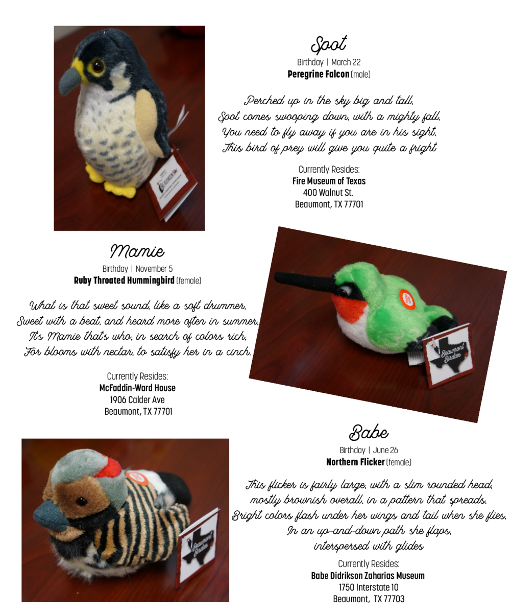 birdies2