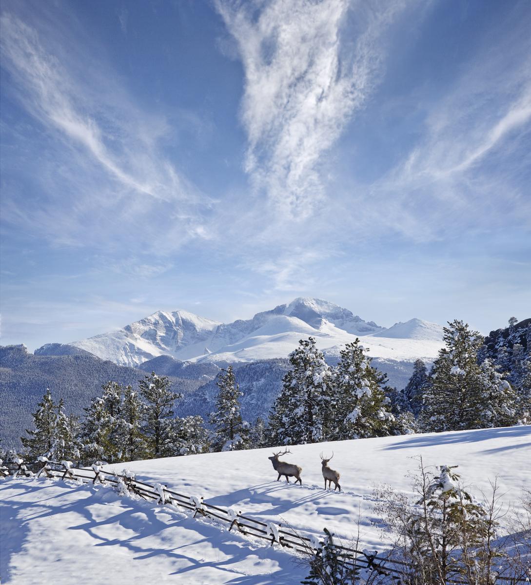 Rocky Mountain National Park Winter – YJNKG