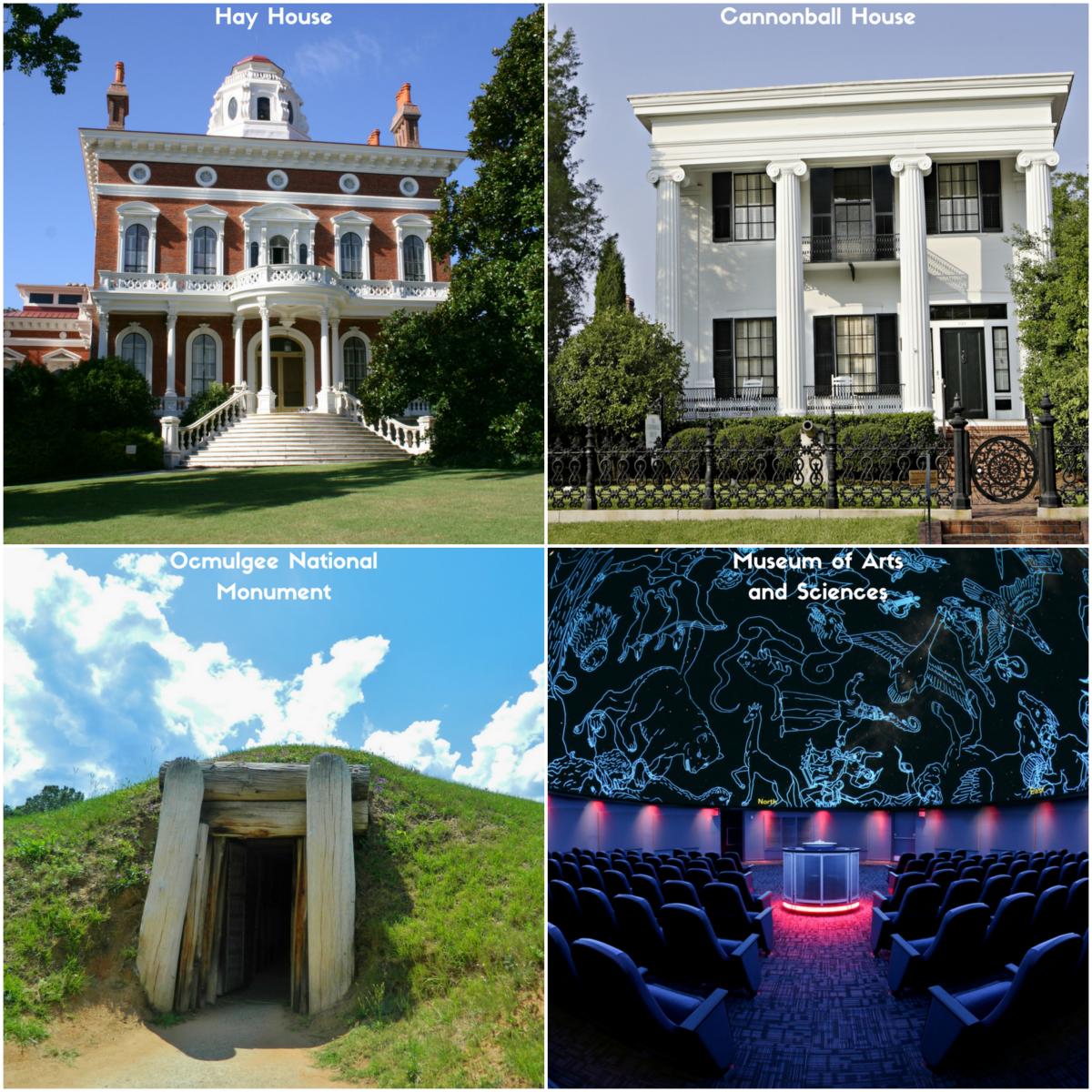 Museum Collage