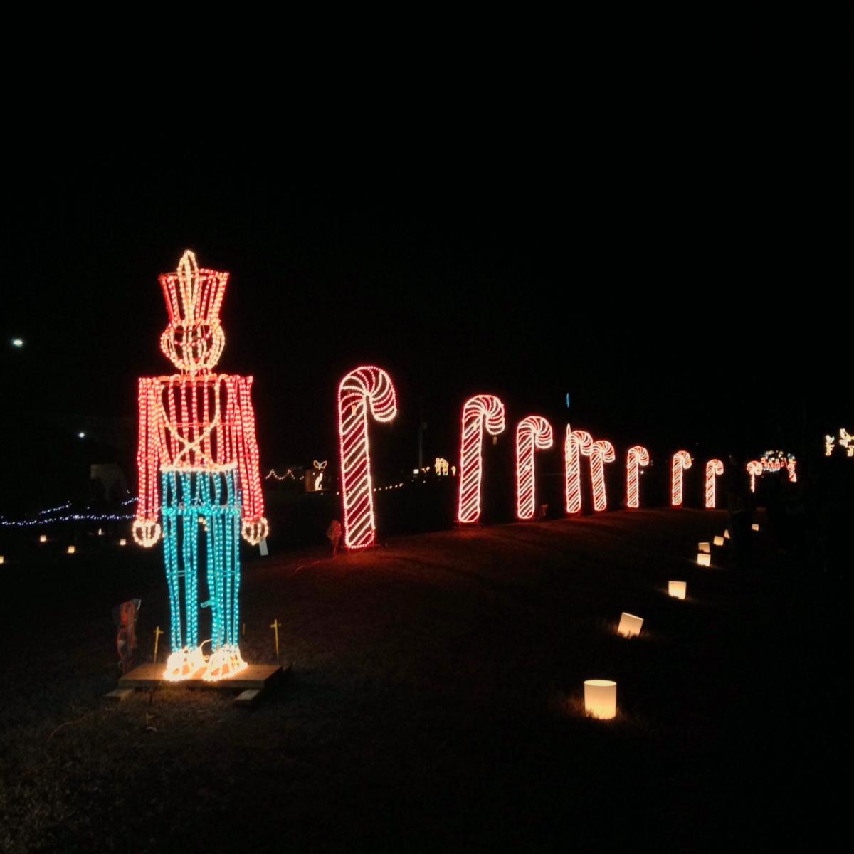 A row of lighted candy canes and toy soldiers line a path at the Galaxy of Lights at Huntsville Botanical Gardens