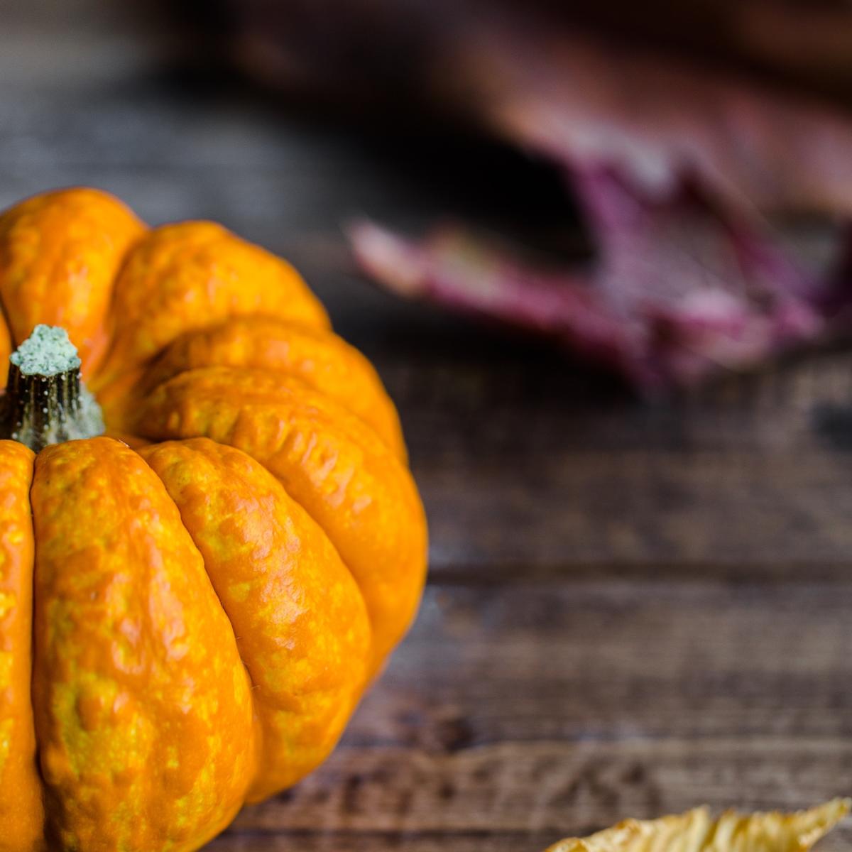 Thanksgiving Pumpkin - Stock Photo