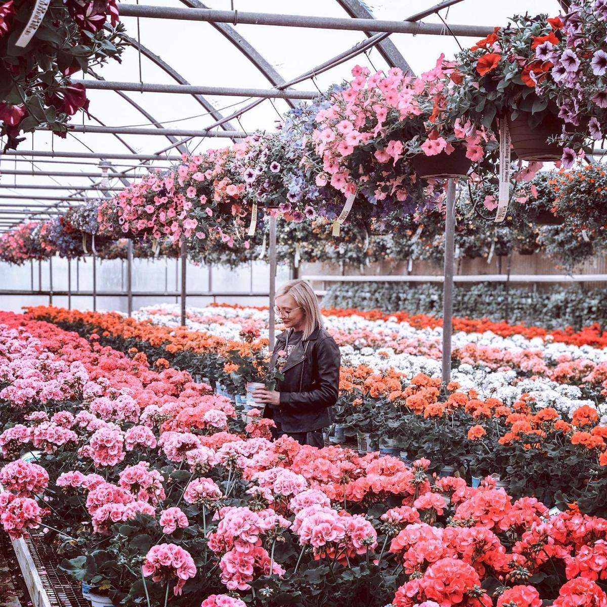 Milaegers Instagram