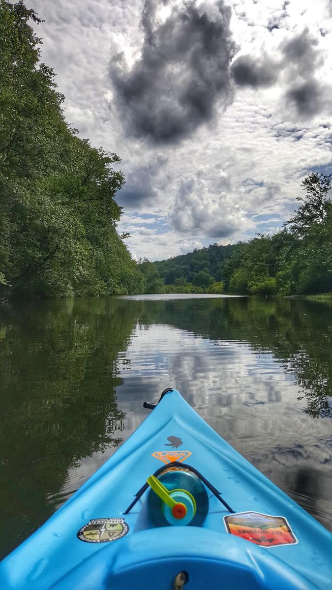 brushy lake cody hood