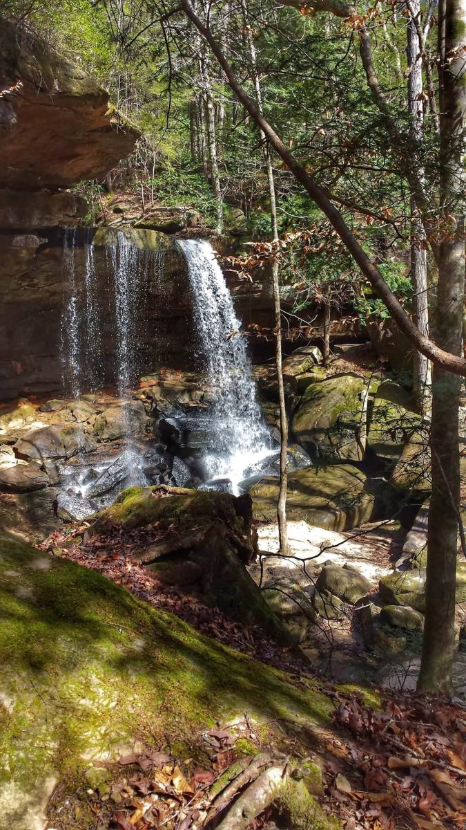 sipsey waterfall cody hood