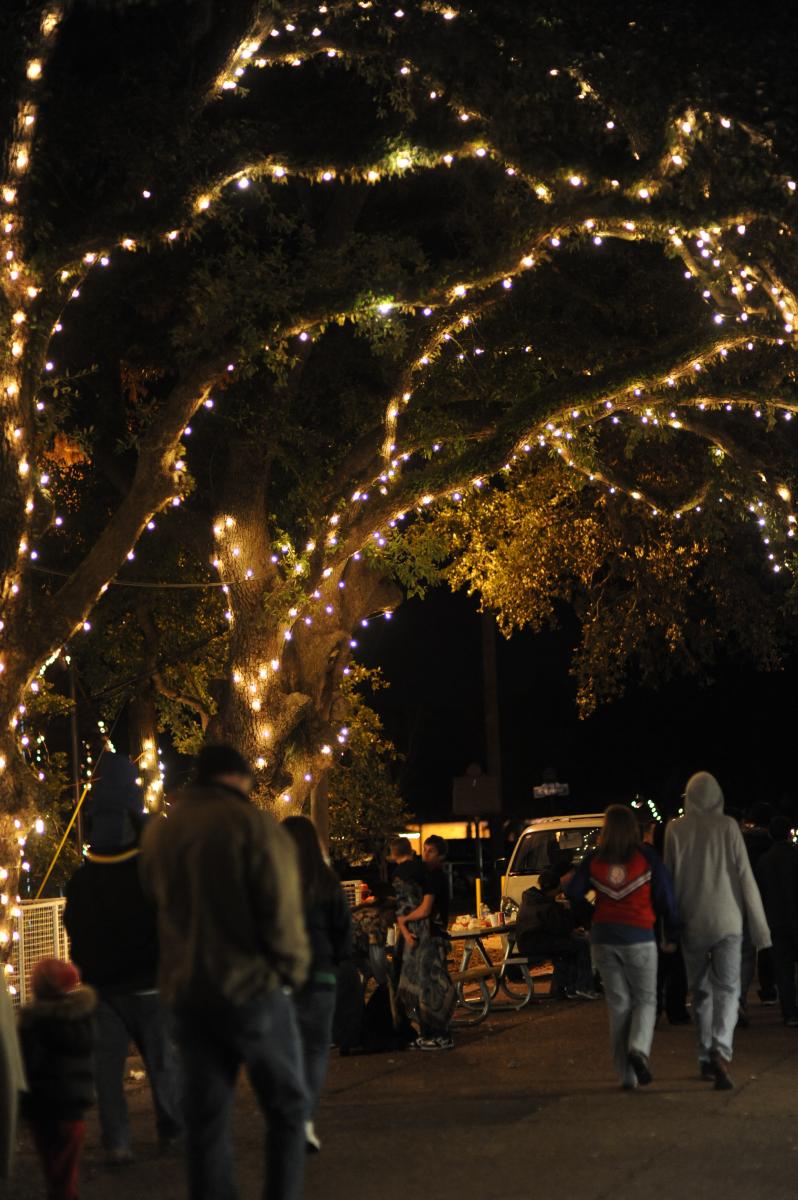 Why you need to go to Christmas Under the Oaks