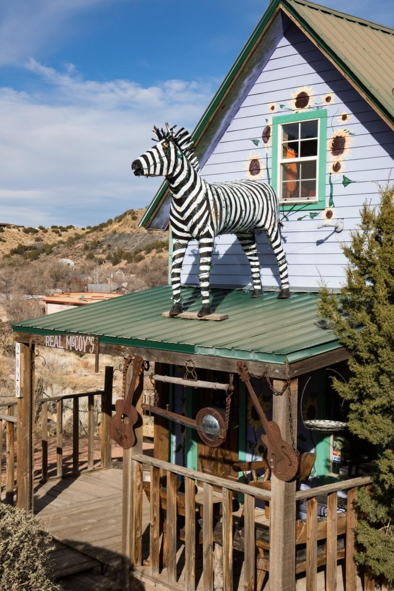 Madrid House with Zebra