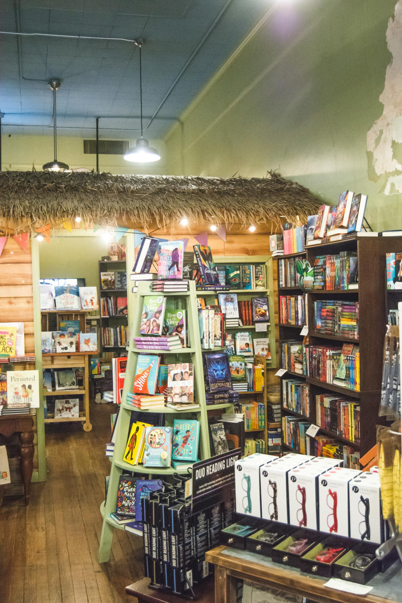 Curious Iguana books