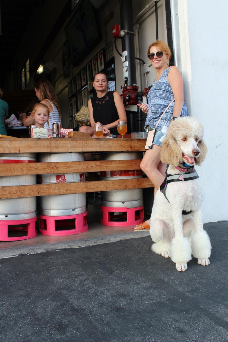 Dog Friendly Restaurants in Huntington Beach