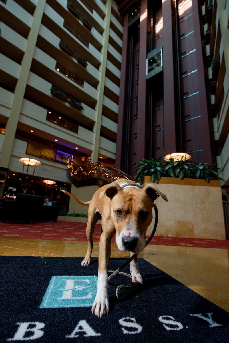 Titus - Embassy Suites