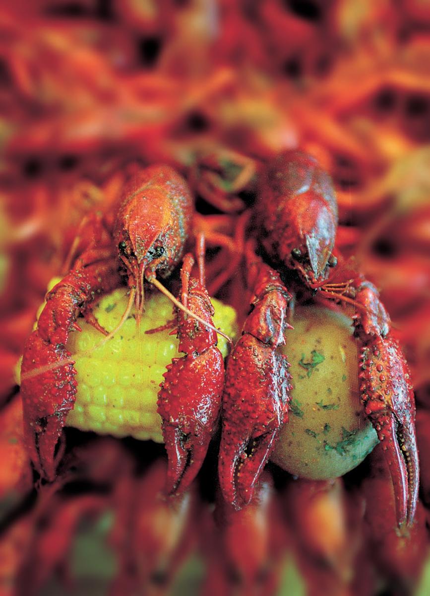 Crawfish in Beaumont