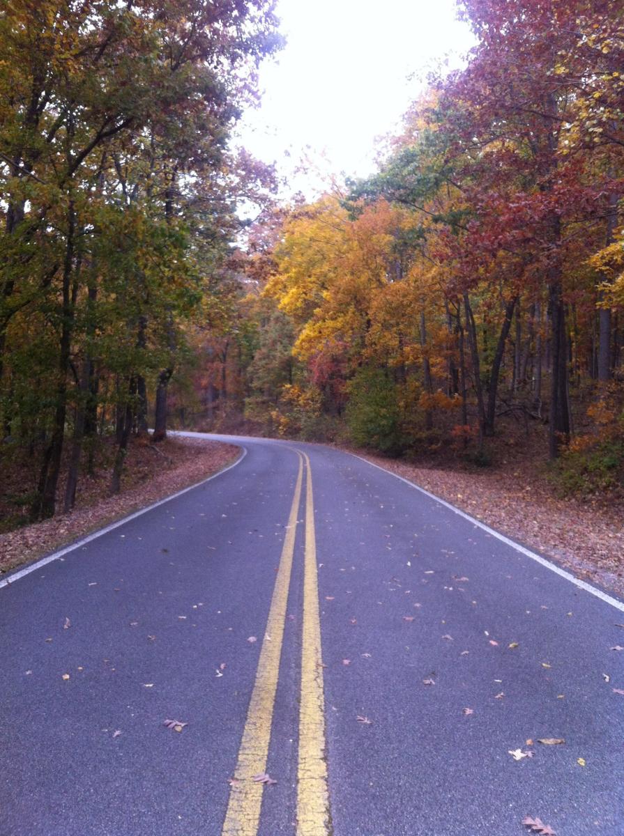 A two-lane road lined with fall foliage of yellows and reds near Lake Guntersville, Alabama