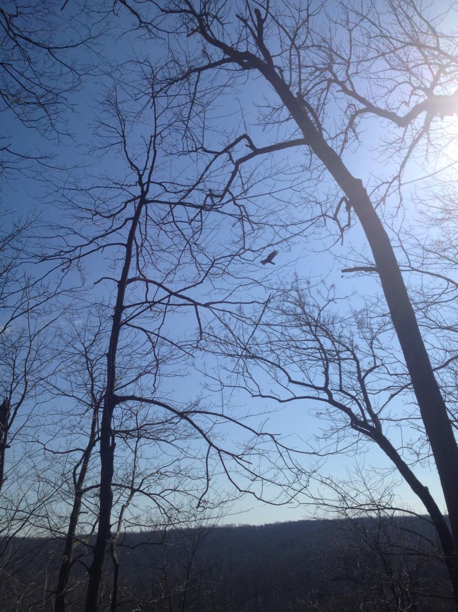 High Rocks Photo 4