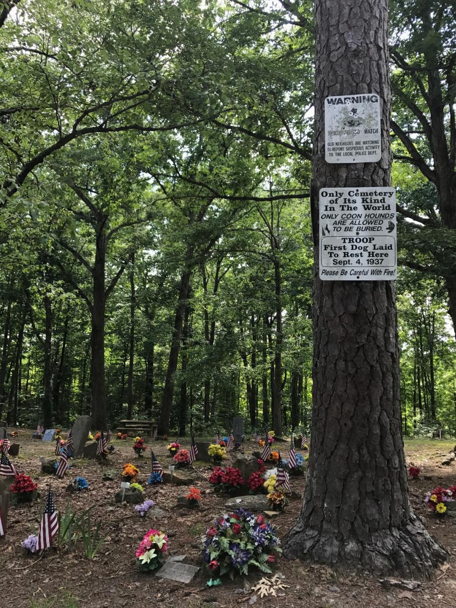 Carley’s Adventures: Rattlesnake Saloon & Coon Dog Cemetery
