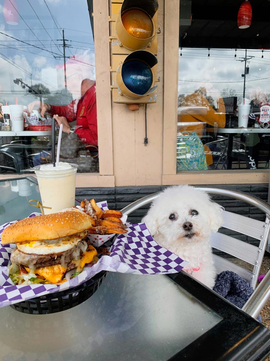 Dog sitting in patio chair next to a plate of a burger and fries at Daddios