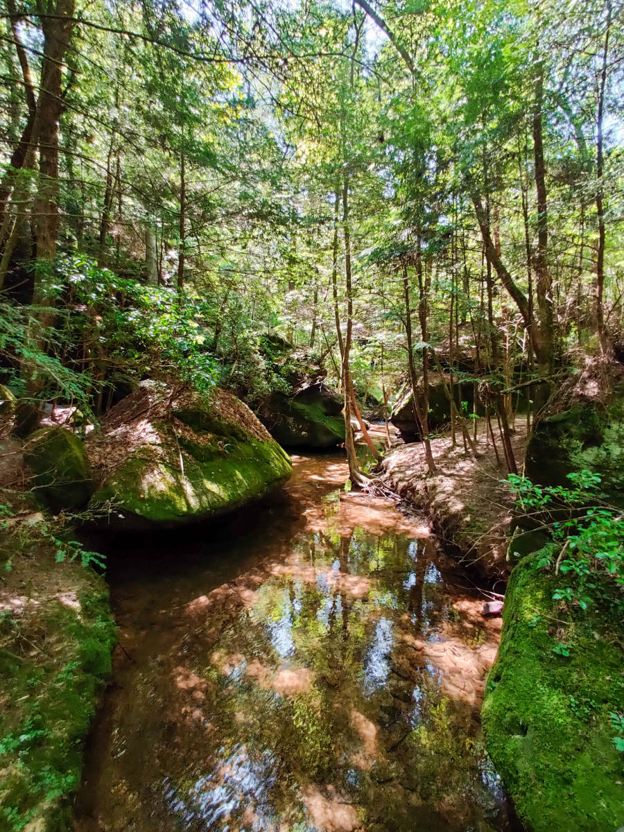 Dismals Canyon