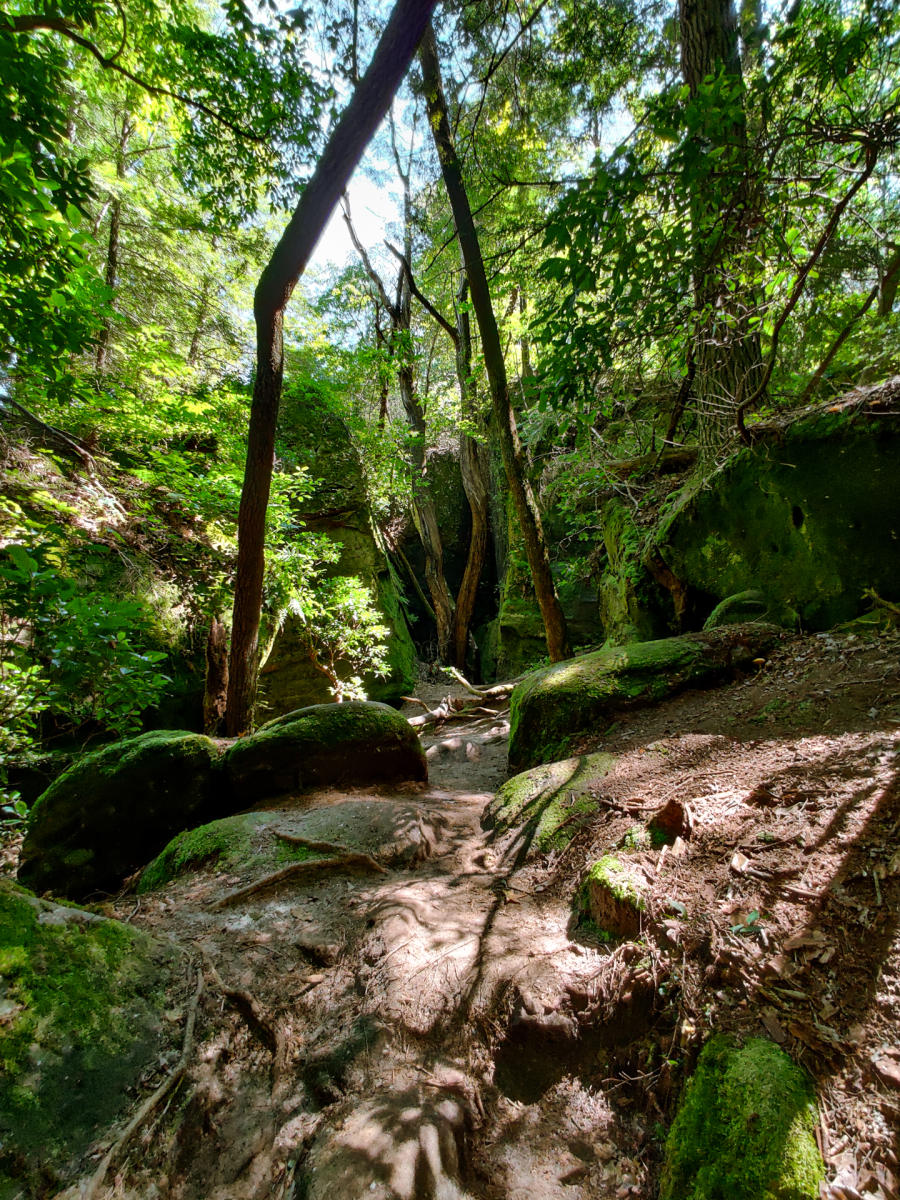 Dismals Canyon