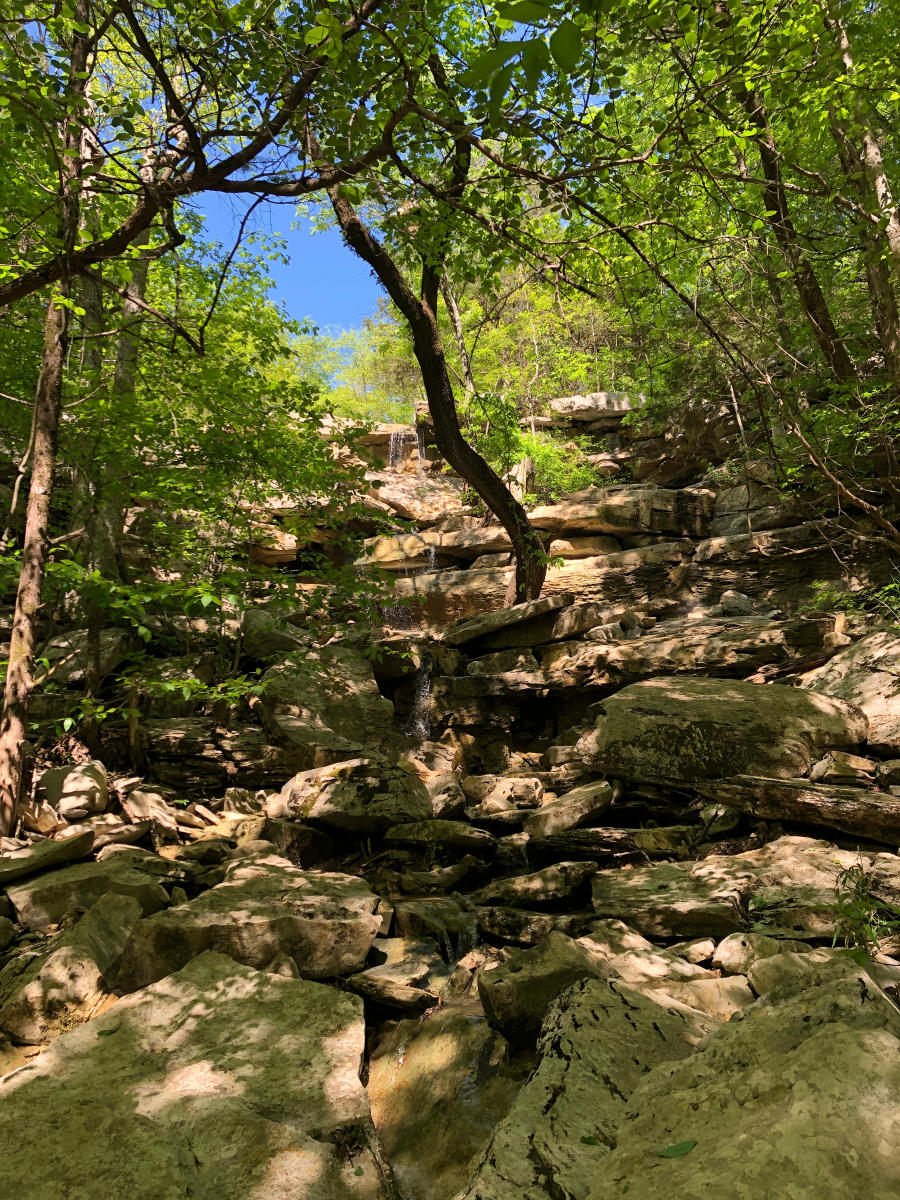Monte Sano Buzzard’s Roost Trail