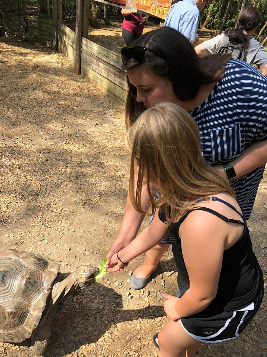 Harmony Park Safari