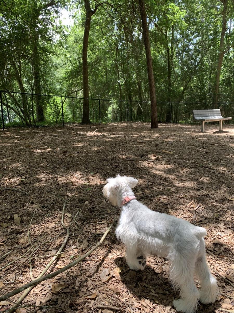 Tamarac Dog Park