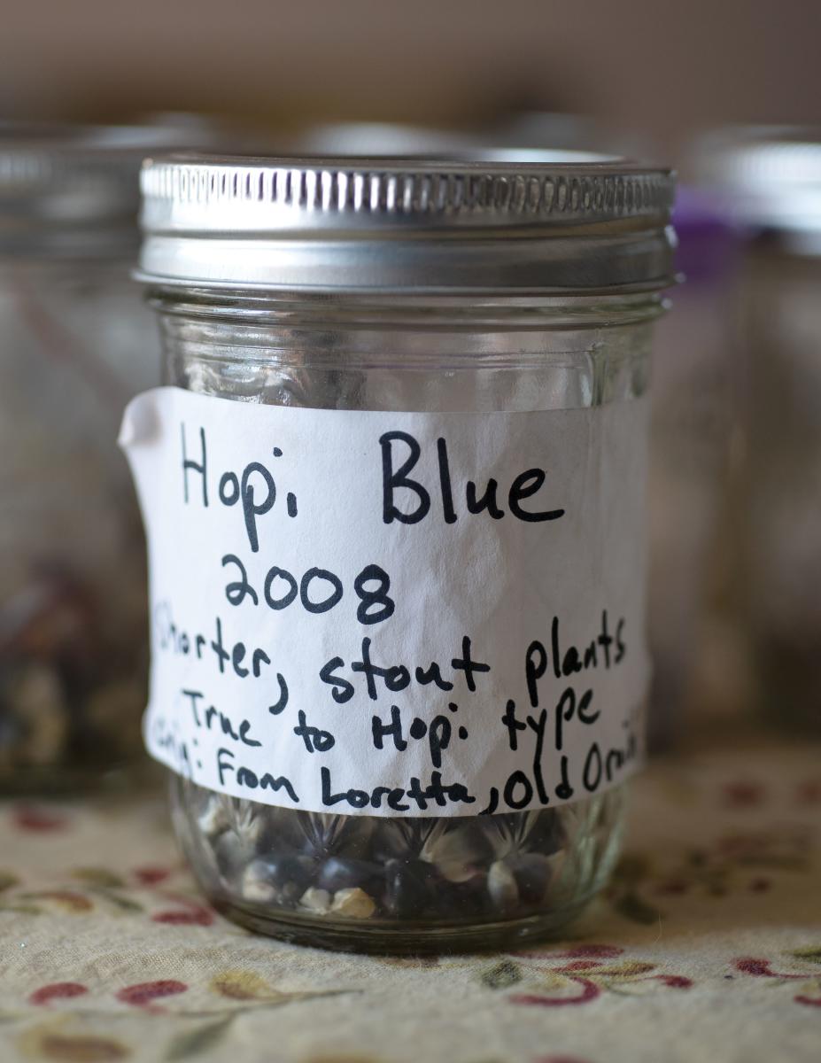 Hopi Blue Corn seeds from Tewa Women United