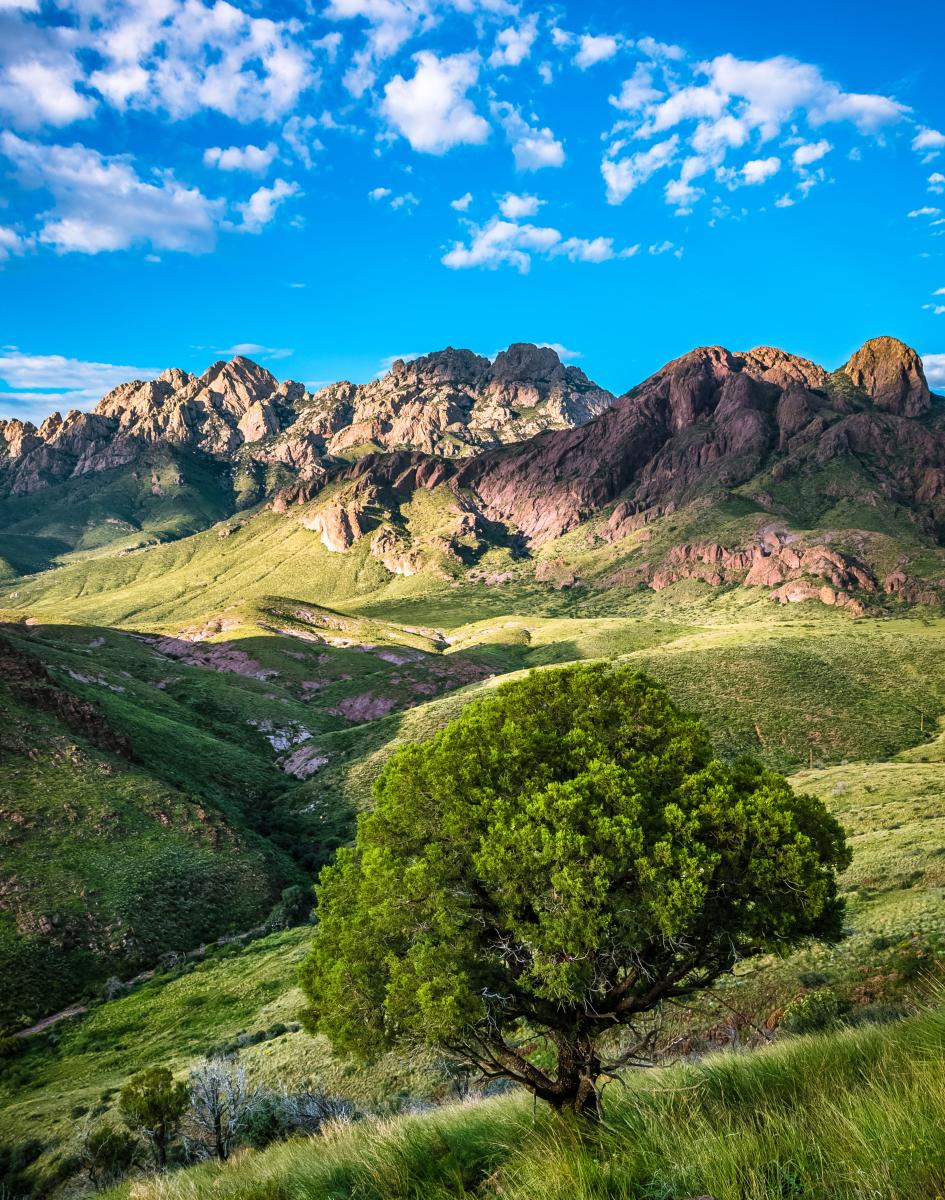 Summer in the Mountains