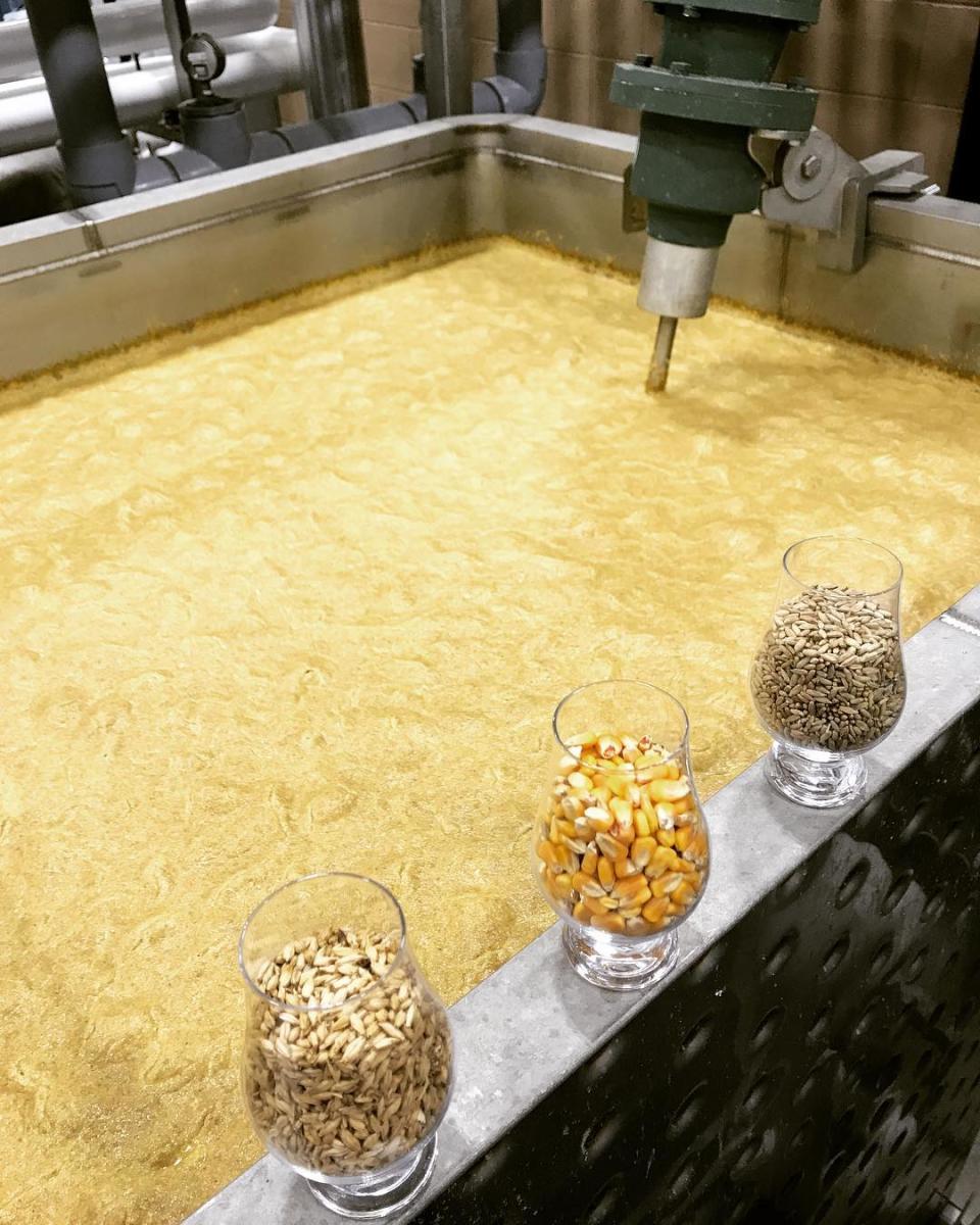 golden mash in a fermenter at boone county distilling co. with three glasses full of corn and other grains on the side