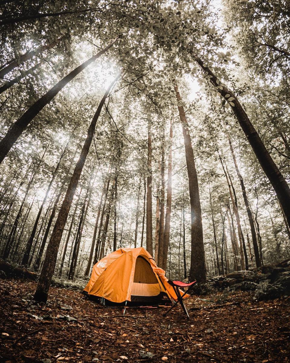 Ohiopyle Camping