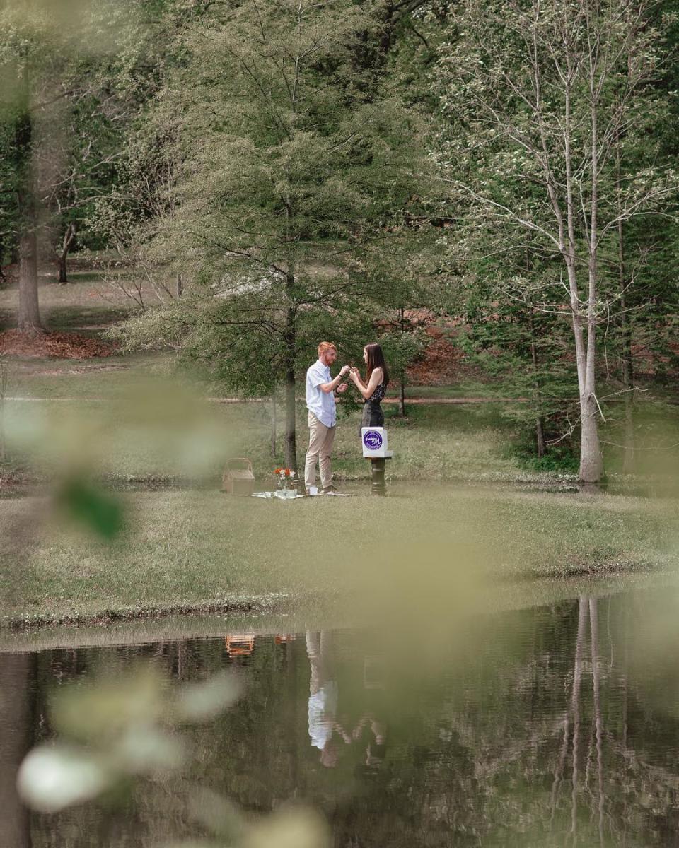 Engagement at Lockerly Arboretum