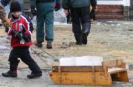 Ice harvesting - pulling the ice!