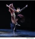 Andonis Foniadakis’s Echo rounds out the Martha Graham Dance Company’s June 12 program at SPAC