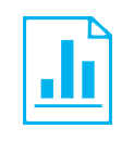 Report Icon