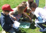 Pathfinders learn about the science of the natural world at the Hudson Highlands Nature Museum after school program beginning April 6 at the Outdoor Discovery Center. Photo provided.