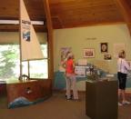 The Sturgeon Swims through Time Exhibit at the Hudson Highlands Nature Museum. Photo by Carl Heitmuller