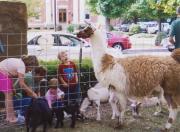 Enjoy a fun-filled day in the crisp autumn air at the Salmon River Festival on Saturday, October 6. From 11 a.m. to 4 p.m., come to the south park on Route 11 in Pulaski for kids’ games and activities, alpacas, crafts, food and live music. Admission is free.