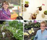(Clockwise, from top left): Lauren Tamraz, Crossroads Hydroponics; Kokedama, japanese string gardens; Margaret Bridge, Black Meadow Flora; square foot gardening.