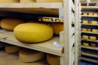Creamery Cheese