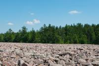 Boulder Field at Hickory Run State Park in the Pocono Mountains