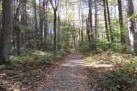 Hiking the Delaware Water Gap National Recreation Area in the Poconos