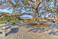 A beautiful outdoor picnic location on St. Simons Island, Georgia in the Golden Isles.