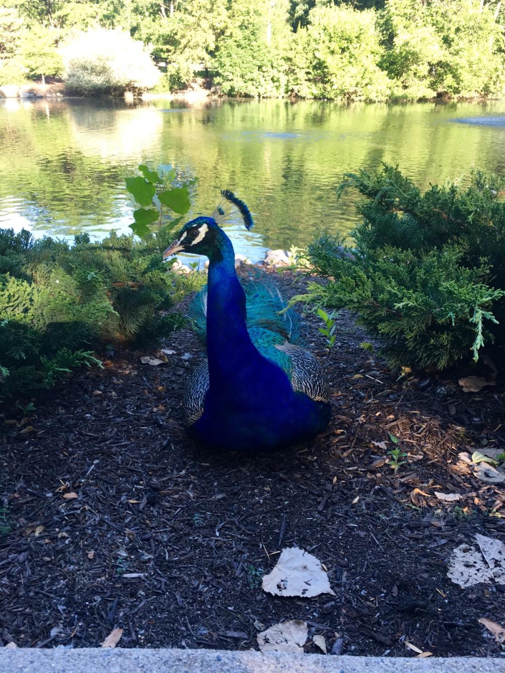 Later zoo hours mean that getting close to some of your favorite animals is a little easier.