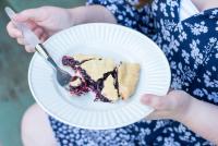 Grape Pie, Photo Credit: Visit Finger Lakes
