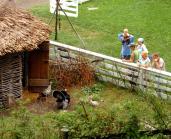 A group visits with some of the many live turkeys at The Farmers’ Museum in Cooperstown.