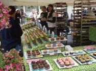 2011 Gardiner Cupcake Festival