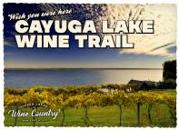 Cayuga Lake Wine Trail Postcard