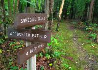 Hiking at Kettle Creek in the Poconos