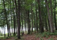 Hiking at Mauch Chunk Lake Park