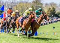 Middleburg Spring Races