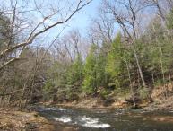 Anglers can explore ideal conditions for salmon and trout along designated fly-fishing areas of the Salmon River near Altmar.