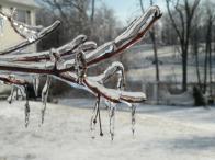 Photo: Ice Crystals. Photo by Judy Onufer.